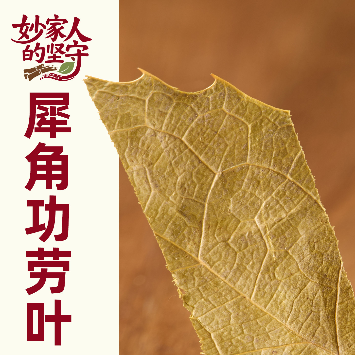 功劳叶中药材500g克狗骨刺狗骨叶猫儿刺八角刺八叶刺老鼠刺枸骨叶