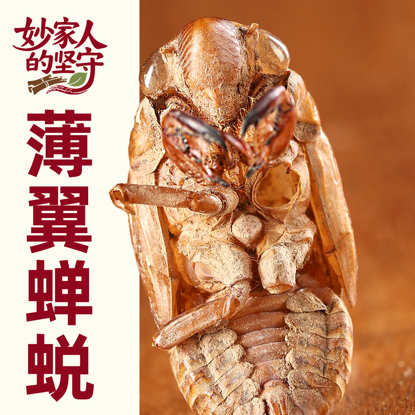 蝉蜕中药材正品500克蝉壳蝉蜕妙家人的坚守】