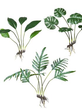 内仿植物zj561211墙装饰壁挂芋绿植室绿萝龟背苹果竹家真居背景墙