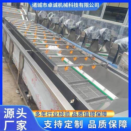 全自动海产品气泡清洗机鲍鱼生蚝浸泡清洗机大型洗菜