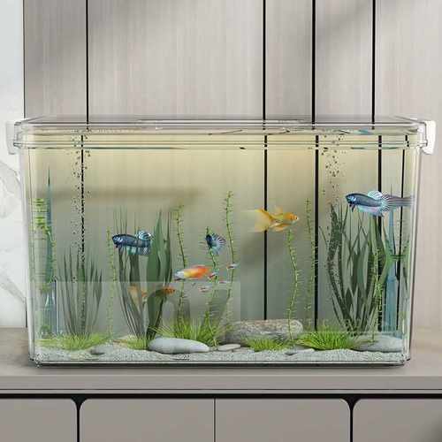 高透PET鱼缸生态箱高清金鱼缸饲养水族乌龟仓鼠生态造景收纳箱子