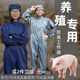 养殖场专用工作服养猪喂猪养羊穿衣服防臭耐脏连身两件式 猪场防护
