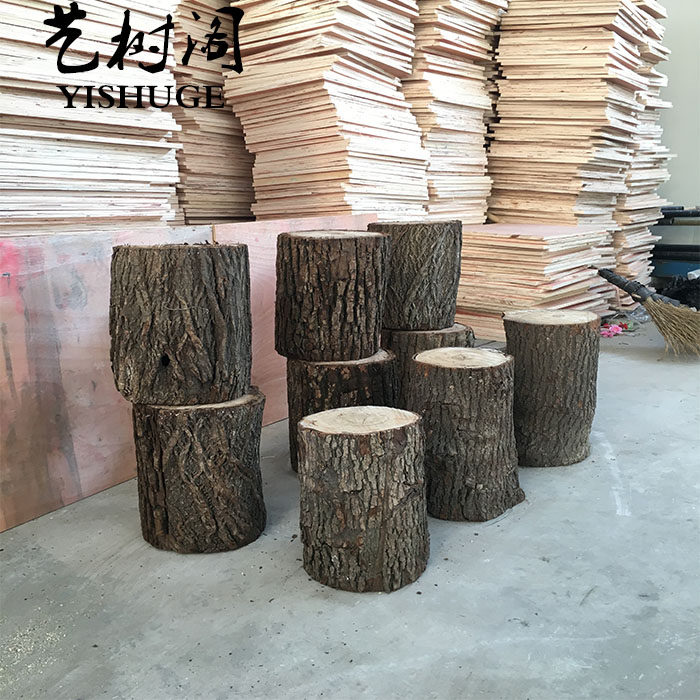 小木桩底座摆件树桩树干原木头小树摄影拍照园艺木柱木墩装饰道具