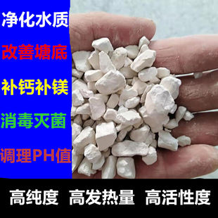 高纯氧化钙颗粒生石灰块虾塘蟹塘鱼塘养殖场消毒净化水质改底补钙