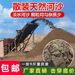 9斤散装河沙砂石细沙粗包