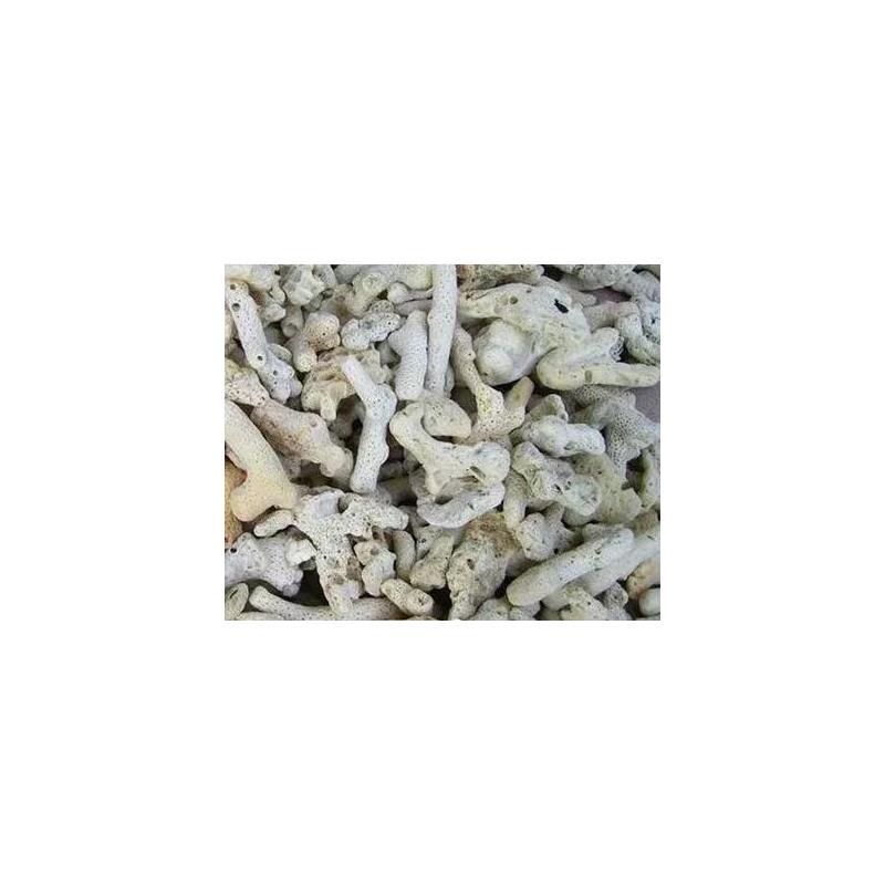 优质滤材中号大号珊瑚