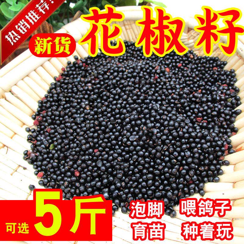 新货花椒籽鸽用鸽子饲料粮食信鸽鸽粮泡脚花椒种子育苗枕头砂批发
