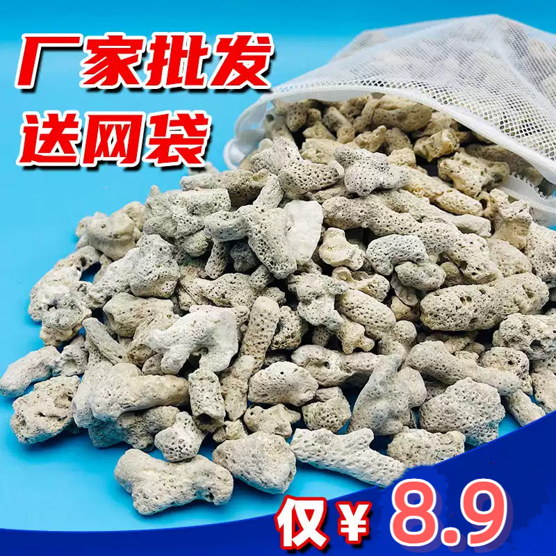 鱼池大块珊瑚骨滤材鱼缸