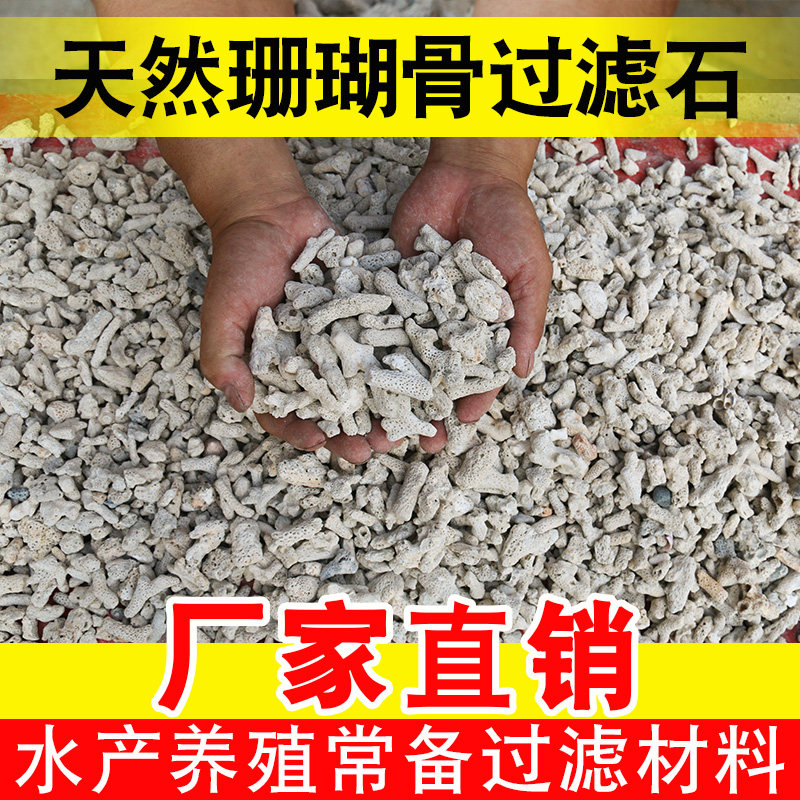 纯天然珊瑚石鱼池砂骨鱼