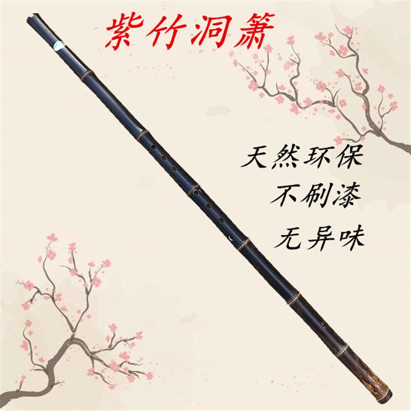 萧乐器初学入门成人零基础萧古萧长萧紫竹箫古风洞箫八孔g调f调_虎窝淘