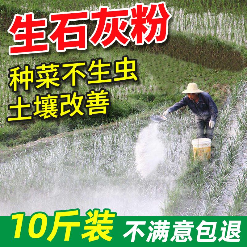 生石灰粉除湿干燥剂刷墙鱼塘改良