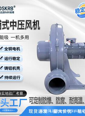 吹膜机用TB100-1透浦式中压风机功率0.75KW风品源DSKRB生产商