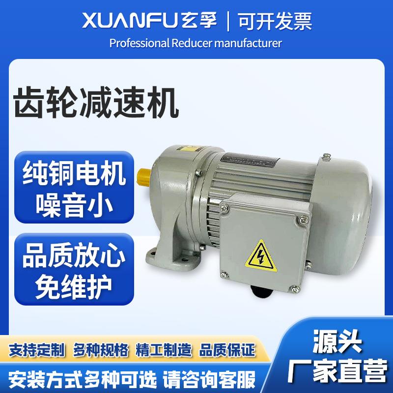 小型齿轮马达100W小金刚齿轮减速机立式卧式免维护减速电机源头工