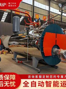 厂家直销适用于食品加工工业酿酒医药化工纺织印染WNS2卧式燃油气