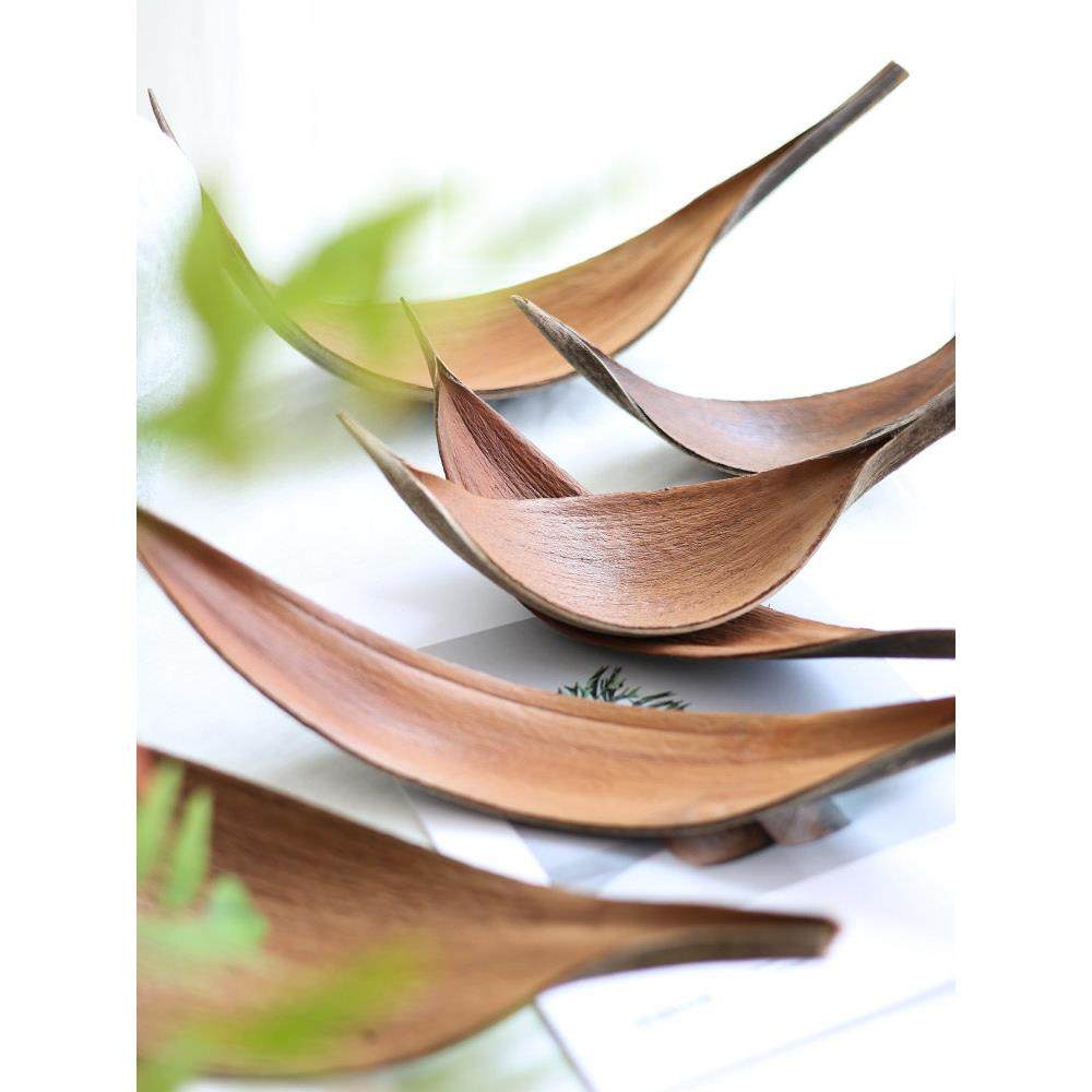 进口可可叶干花天然植物叶子装饰托盘桌面摆件样板房花艺拍照道具