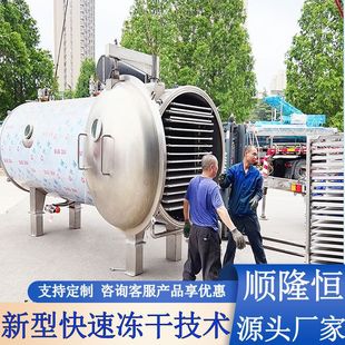 甜筒糯米糍低溫冷凍凍干機(jī) 甜玉米粒真空凍干機(jī) 高糖度芒果干燥機(jī)