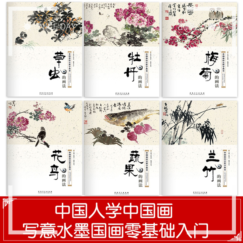 6本中国画技法教学典范 牡丹 兰竹 梅花 花鸟 蔬果 草虫的画法 国画技法从入门到精通 中国画入门基础教程书传统水墨画技法详解