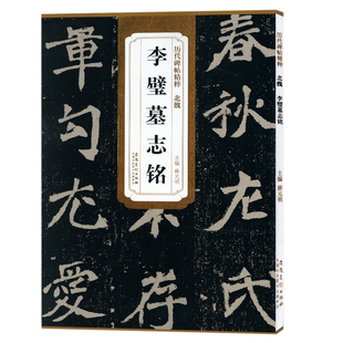 历代碑帖精粹 北魏 李璧墓志铭 薛元明编 魏碑毛笔书法字帖 临摹字帖古帖学生成人练字临摹帖书法练习教材技法解析书籍 安徽美术