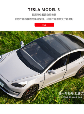 1:24仿真合金车模型特斯拉modle3新能源汽收藏摆件儿童玩具毛豆3