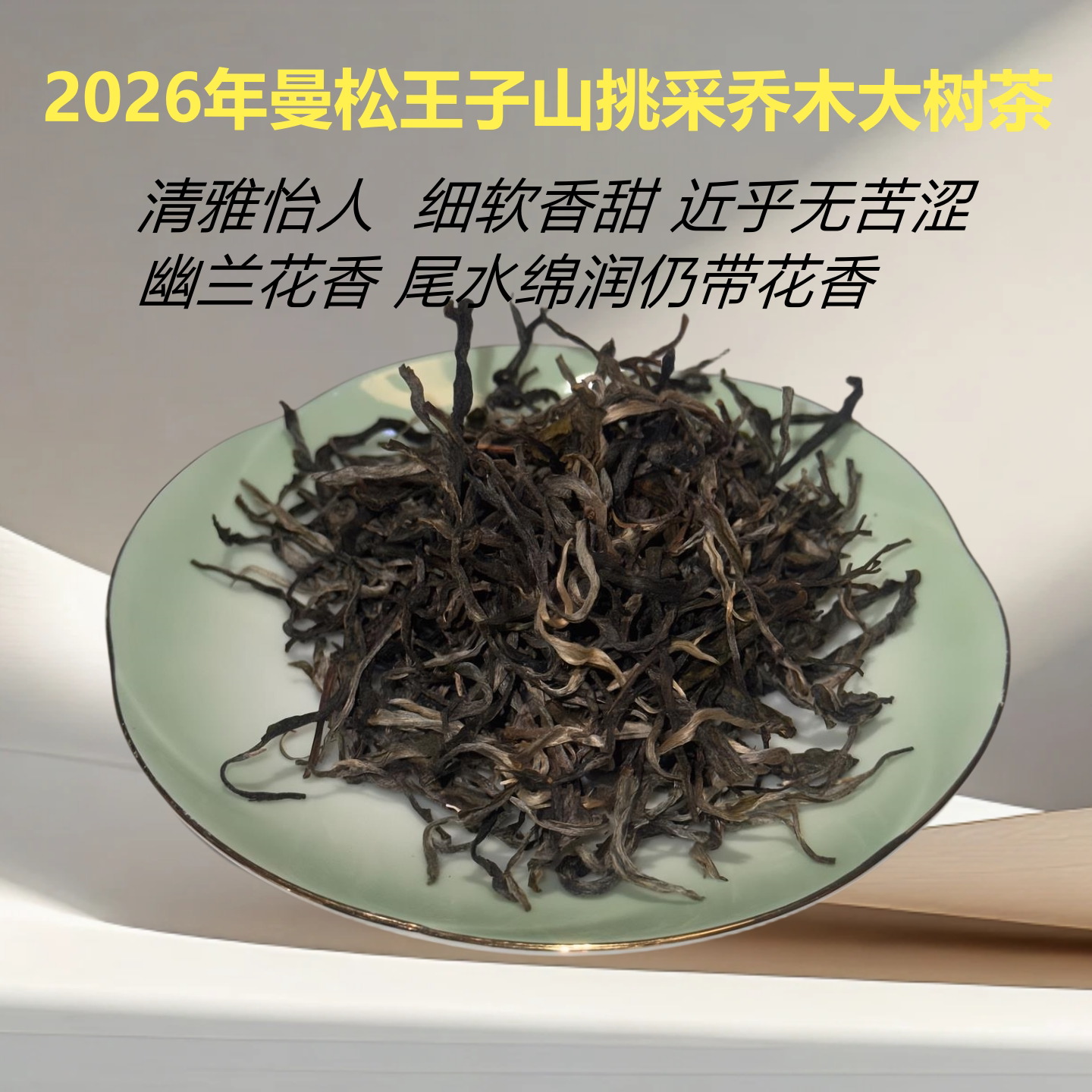 曼松王子山挑采乔木大树散茶春茶