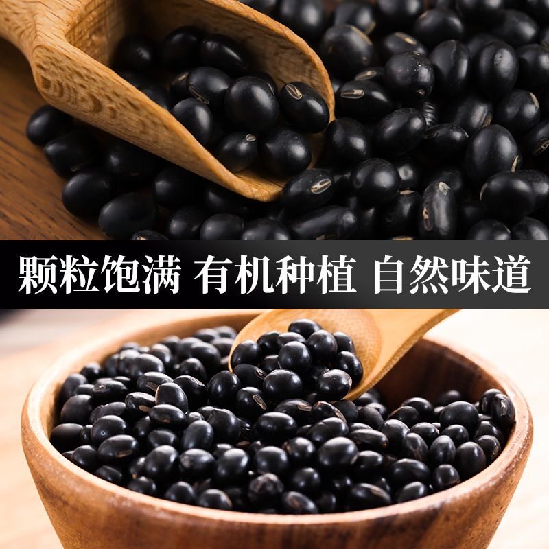 【有机认证】东北绿心黑豆当季绿芯黑豆五谷杂粮粗粮家用打黑豆浆