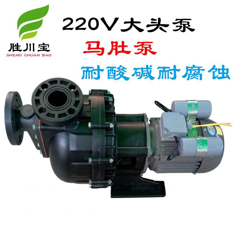 塑料耐腐蚀自吸泵220V单项小型大头泵防酸泵胜川宝牌污水泵图片