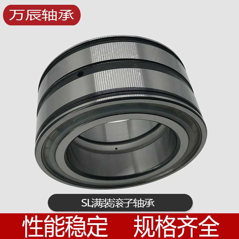 SL045010PP NNF5010ADA-2LSV 双列满装圆柱滚子轴承国产速机