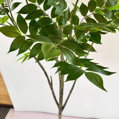 绿仿真植漆木树内盆栽树室客厅落地植物香椿家居装饰摆H1039件高