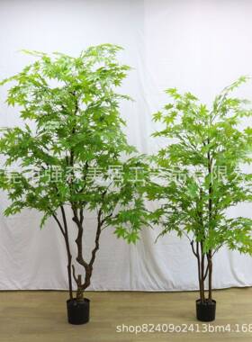 仿真枫树大型绿植绿枫树室内外庭院造景植物装饰摆放绿枫假树