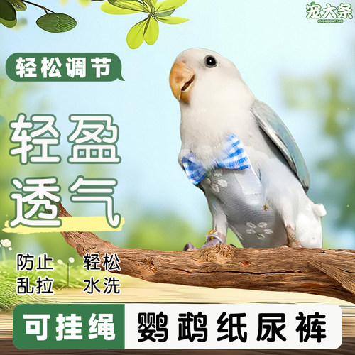 【宠大条】鹦鹉尿不湿立体便兜透气鸟衣服牡丹纸尿裤外出飞行服