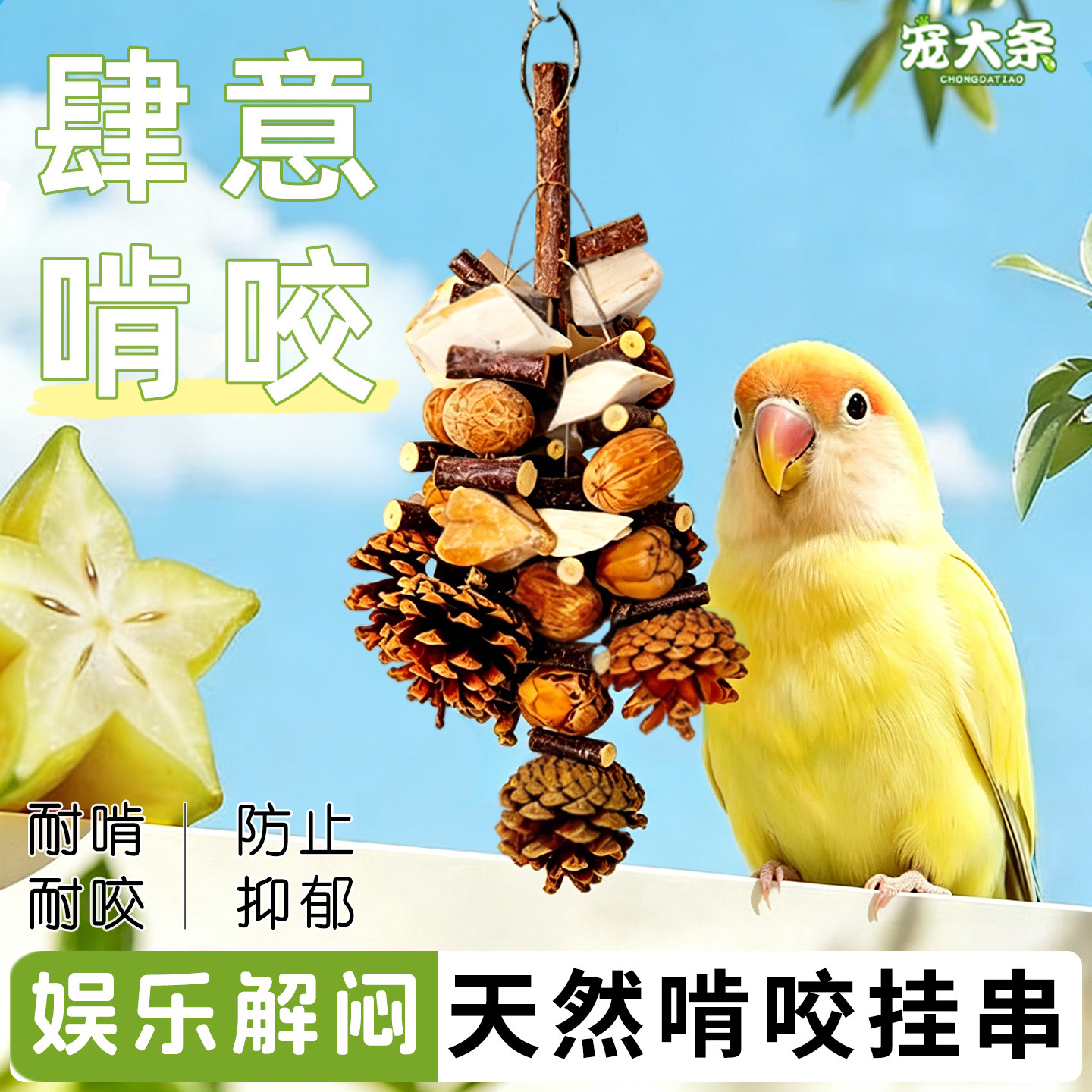 宠大条鹦鹉啃咬玩具墨鱼骨干果串挂件虎皮玄凤牡丹解闷自嗨鸟玩具