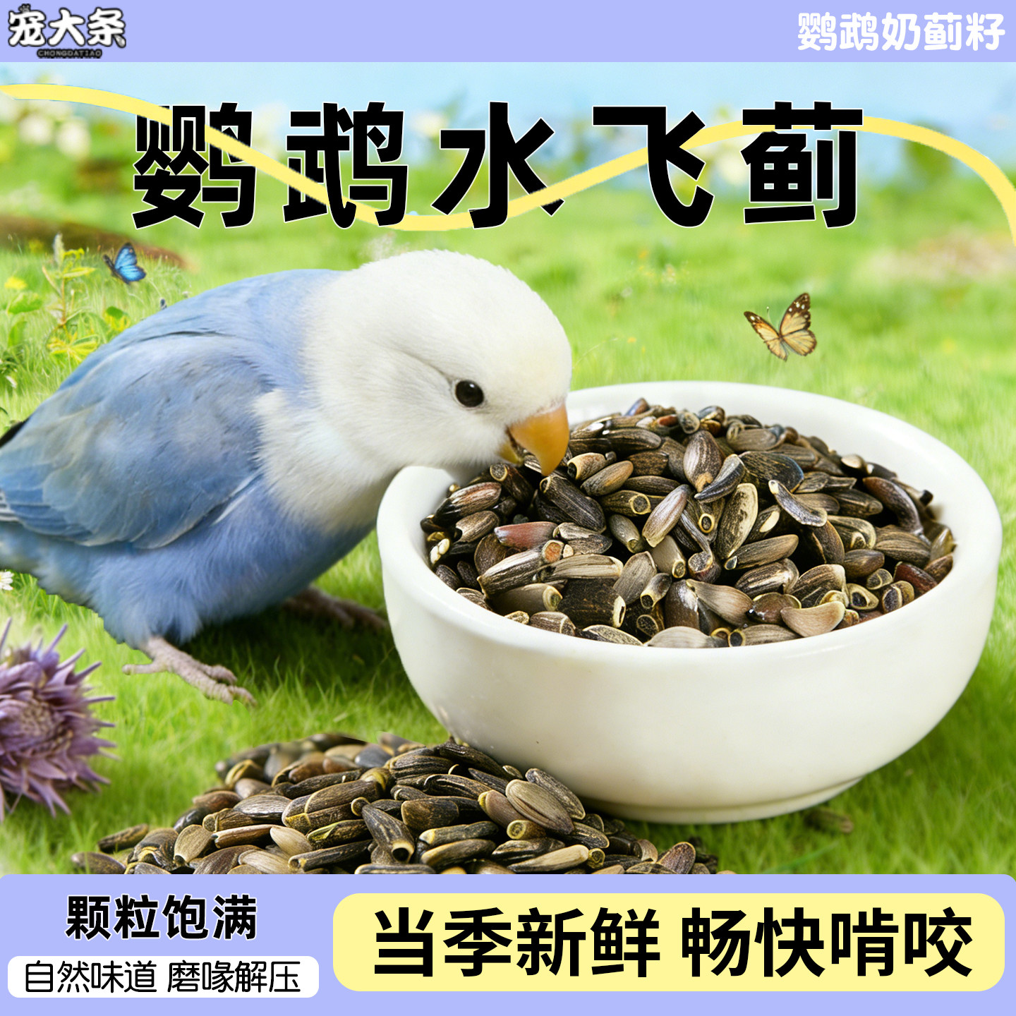 宠大条鹦鹉饲料带壳水飞蓟小太阳和尚牡丹玄凤训练奖励鸟食奶蓟籽,宠物/宠物食品及用品,鸟零食,淘宝优惠券,粉丝福利购,淘宝优惠卷