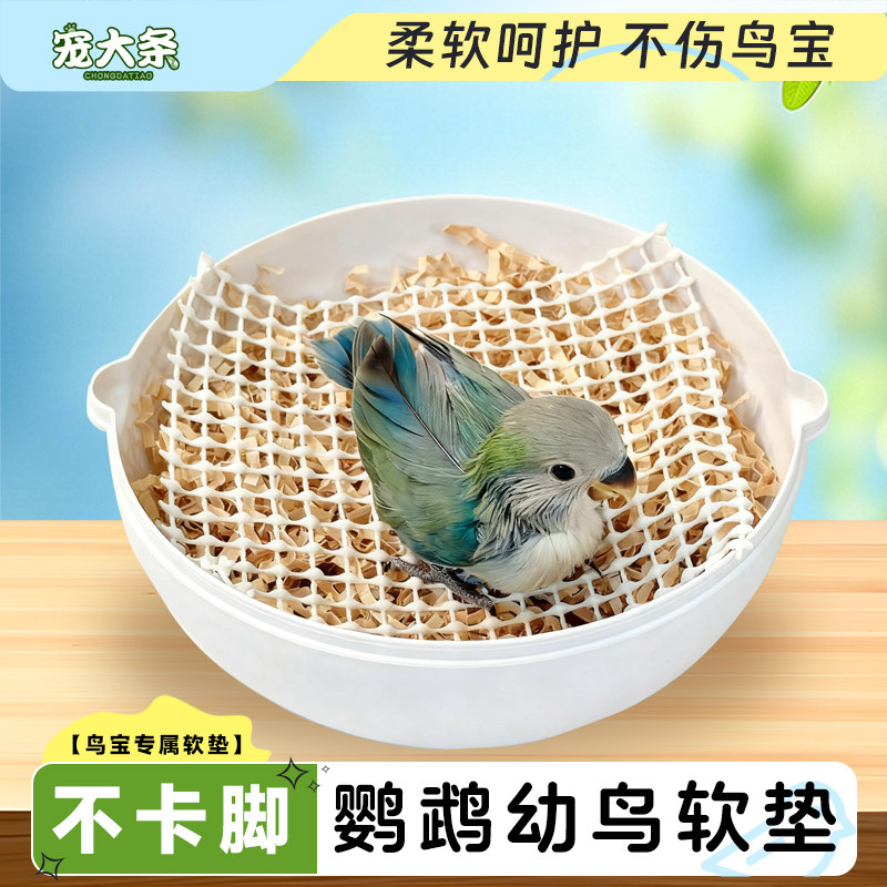 【宠大条】鹦鹉雏鸟软垫防滑脚垫虎皮玄凤牡丹幼鸟专用不伤脚垫网,宠物/宠物食品及用品,鸟禽其他,淘宝优惠券,粉丝福利购,淘宝优惠卷