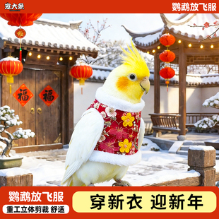 鹦鹉放飞服新年过年服装虎皮玄凤牡丹小太阳可调节飞行服鸟类服饰