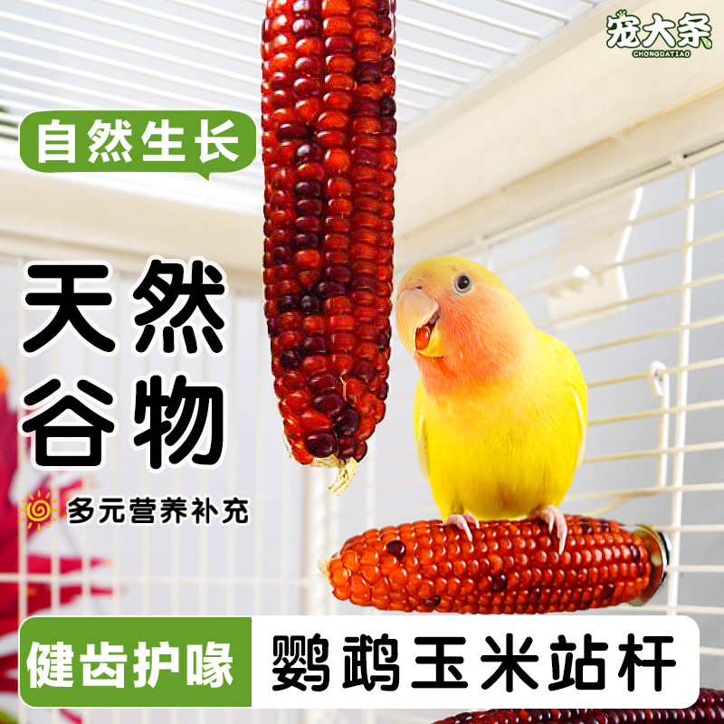 宠大条鹦鹉零食棒天然小玉米鸟站杆虎皮玄凤牡丹啃咬解闷鸟玩具,宠物/宠物食品及用品,鸟零食,淘宝优惠券,粉丝福利购,淘宝优惠卷