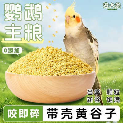 鹦鹉黄谷子鸟粮带壳5斤虎皮鸟粮