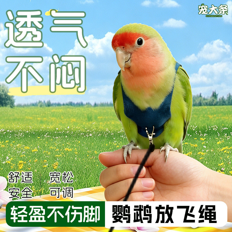 宠大条鹦鹉牵引绳遛鸟神器外出放飞训练牡丹玄凤虎皮专用鸟放飞绳