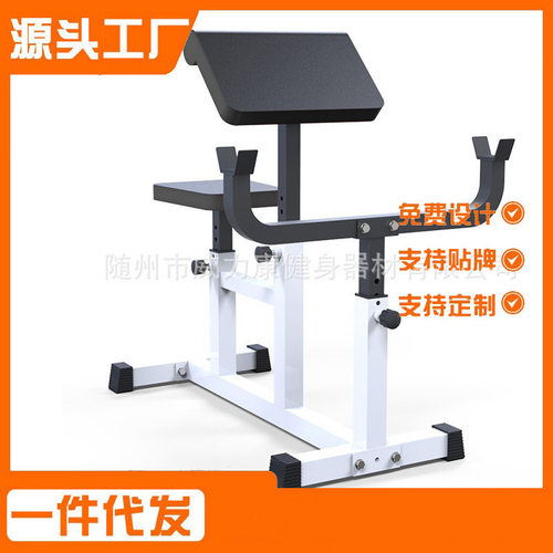 驰尚二头肌训练板健身房训练椅臂部肌肉训练架牧师凳杠铃弯举香槟