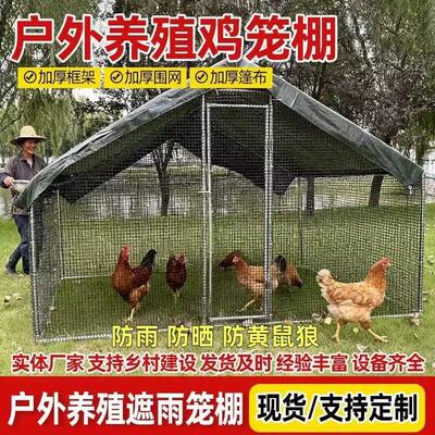 家用养殖棚鸡鸭鹅笼窝棚多用途养鸡专用笼骨架家庭镀锌钢管鸽子笼