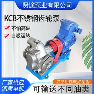 304不锈钢齿轮泵KCB系列齿轮油柴油机油抽油泵自吸泵工业用现货