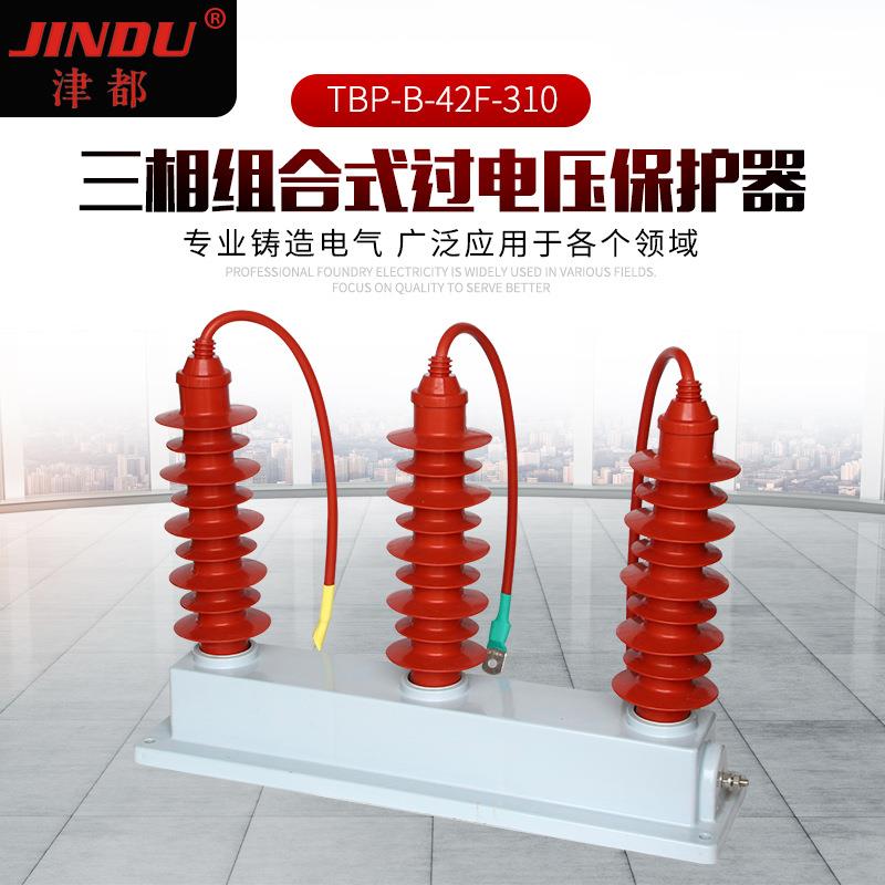 TBP组合式过压保护器三相组合式过电压保护器TBP-B-42F-310