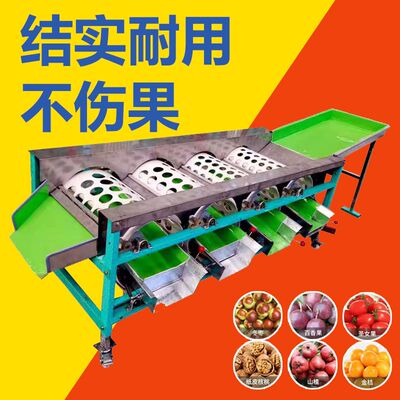 全自动滚筒式脐橙选果机