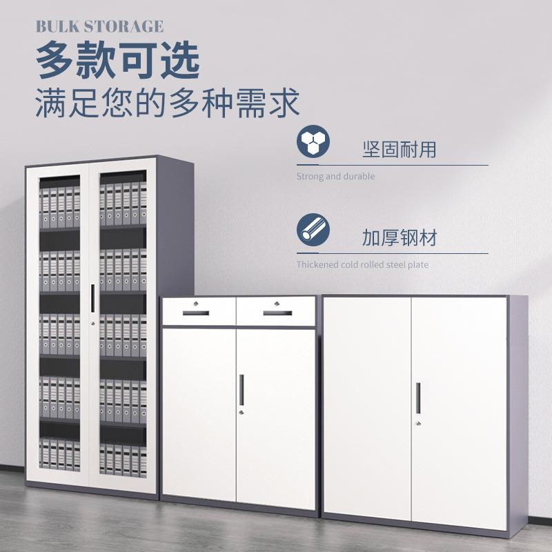 窄边文件铁柜办公室档案资料储柜皮钢制书柜带锁柜凭证LSWJG-CZ柜