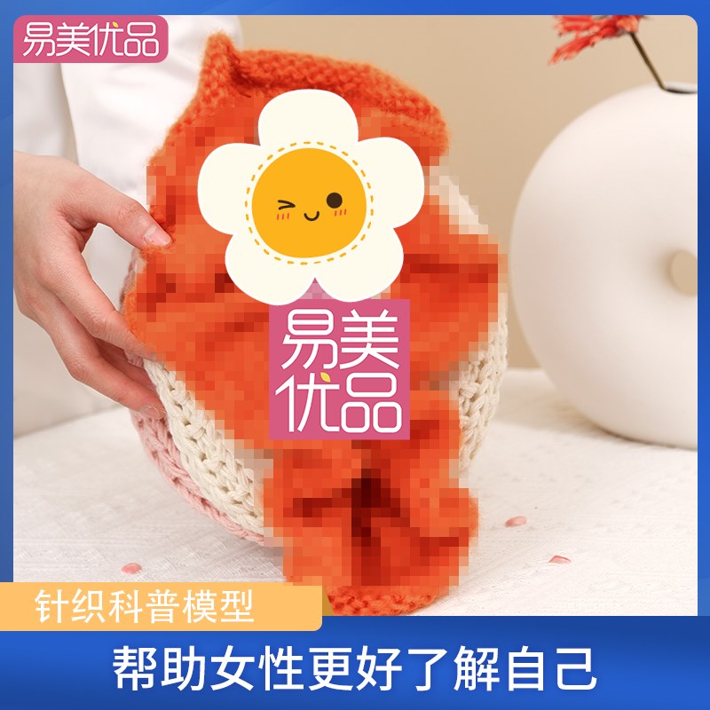 产康科普教具女性针织妹妹模型妇科医学生殖解剖医患沟通美容会所