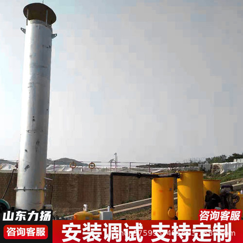 内燃式焚烧沼气火柜 不锈钢沼气火炬 垃圾填埋场废气污水处理设备