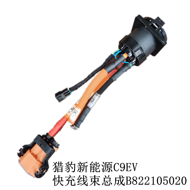 三3芯电源线插头带线国标10A/16A单头裸尾新能源电动汽车充电器枪