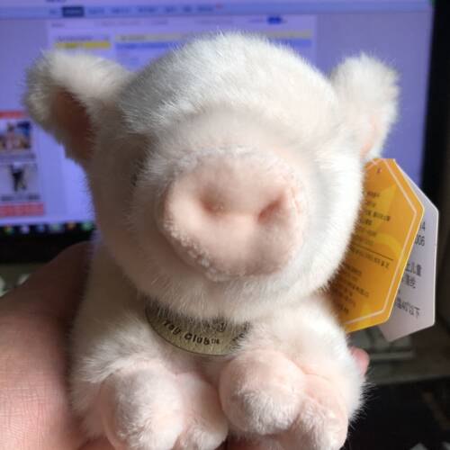 正版toy club粉色小猪猪公仔毛绒玩具可爱小猪宝宝趴趴猪年吉祥物
