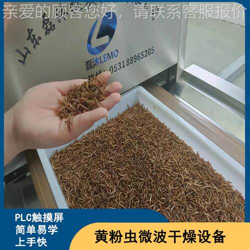 昆节幼虫微大波虫干燥设备 黄粉虫LM-20KW-烘干机 能幅度提升