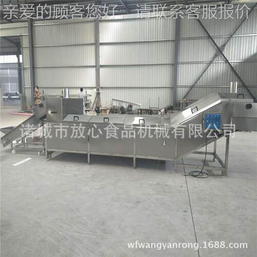 蔬杀蒸煮机 油菜漂烫机 包子水校馅杀可青蒸煮菜 加青工FX-800定