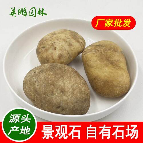 枯山水造景用黄色河卵石 别墅庭院民宿装饰鹅卵石